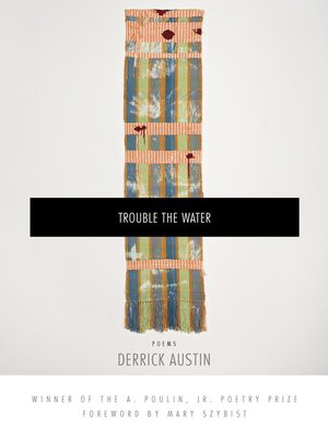 cover image of Trouble the Water